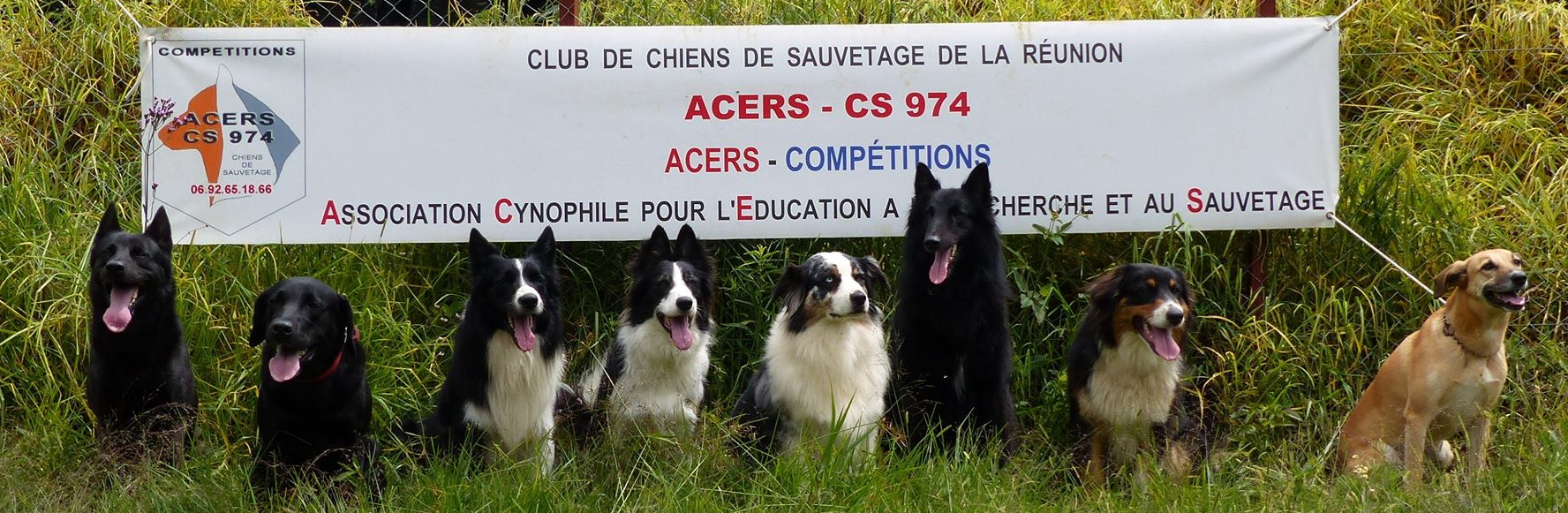 Quelques chiens de recherche de l’ACERS